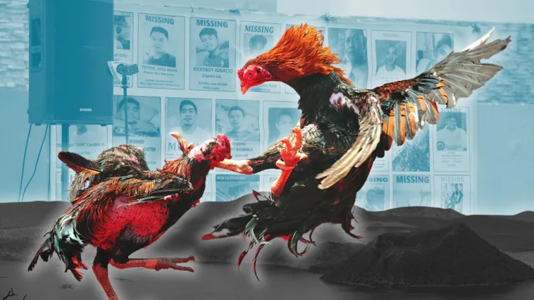 Hướng Dẫn Chơi Đá Gà Sabong Tại SV368 Thành Công Tuyệt Đối