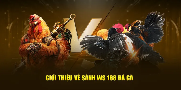Cách Chơi Đá Gà WS168 Tại SV368 Đạt Hiệu Quả Cao Nhất