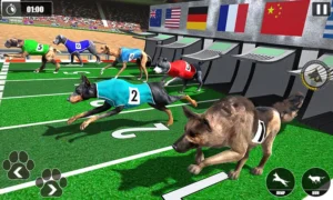 Cách Chơi Game Nhanh Đua Chó Tại SV368 Tối Ưu Cơ Hội Thắng