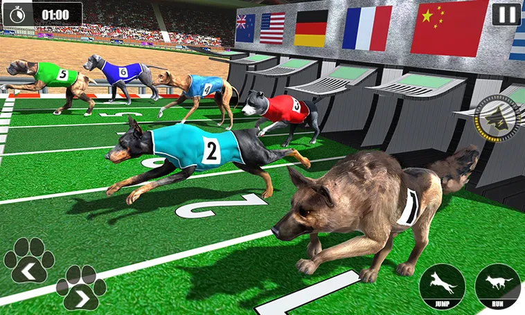 Cách Chơi Game Nhanh Đua Chó Tại SV368 Tối Ưu Cơ Hội Thắng