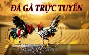 Bí Quyết Tham Gia Đá Gà 3D Tại SV368 Hiệu Quả Nhất